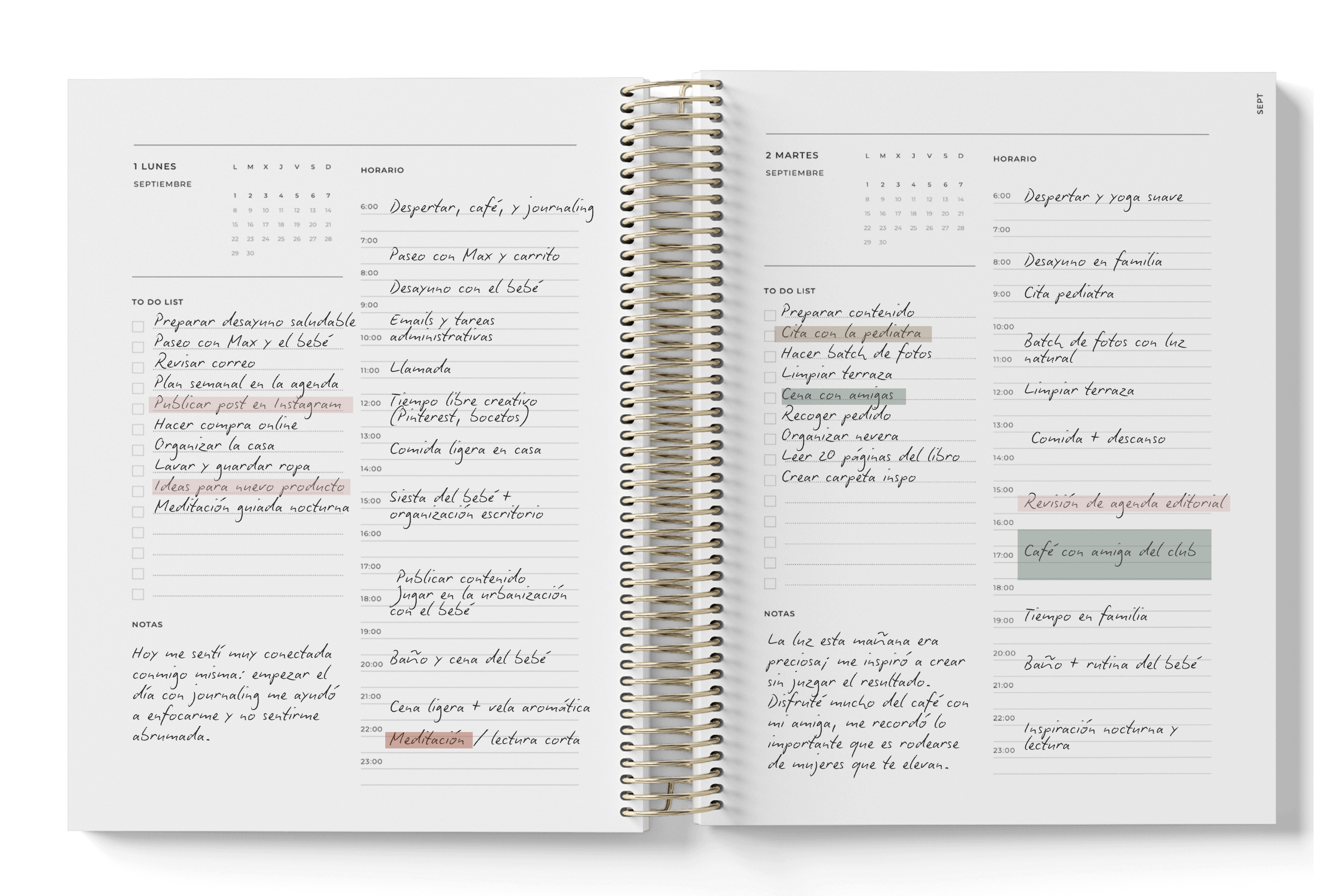 AGENDA COBALTO DÍA PÁGINA 2026