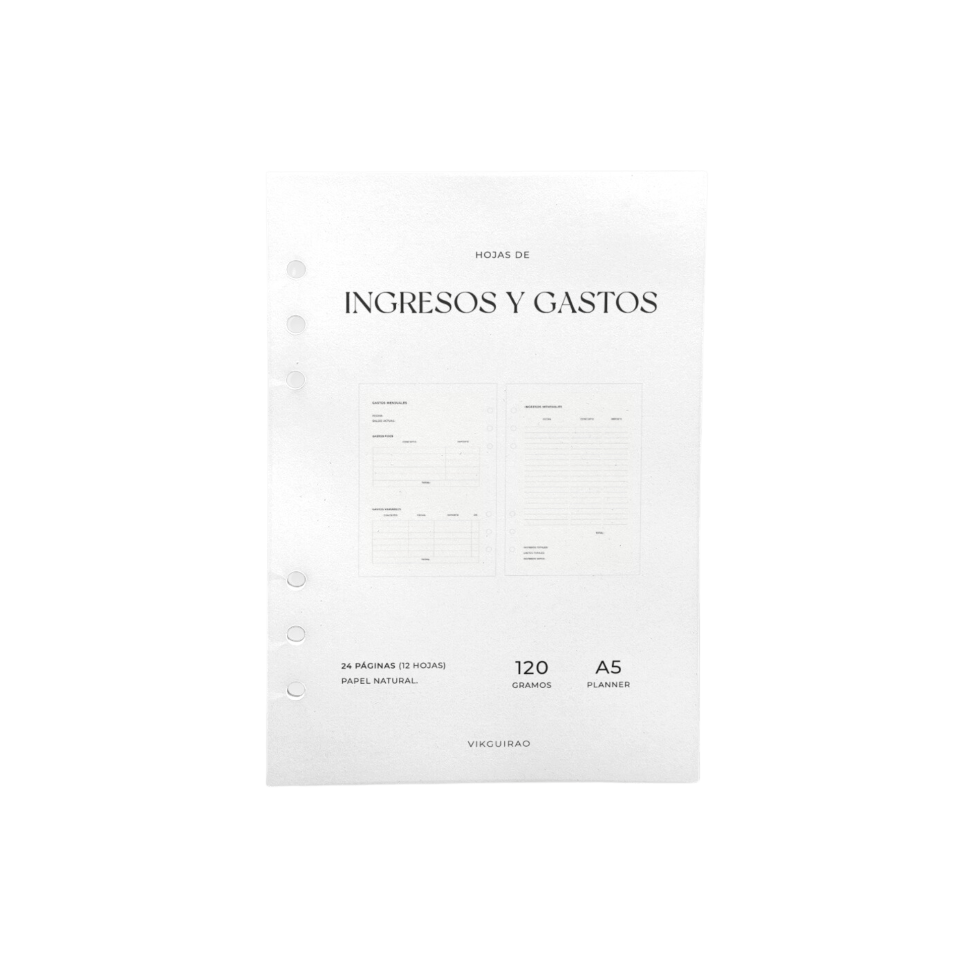 RECAMBIO HOJAS DE INGRESOS Y GASTOS
