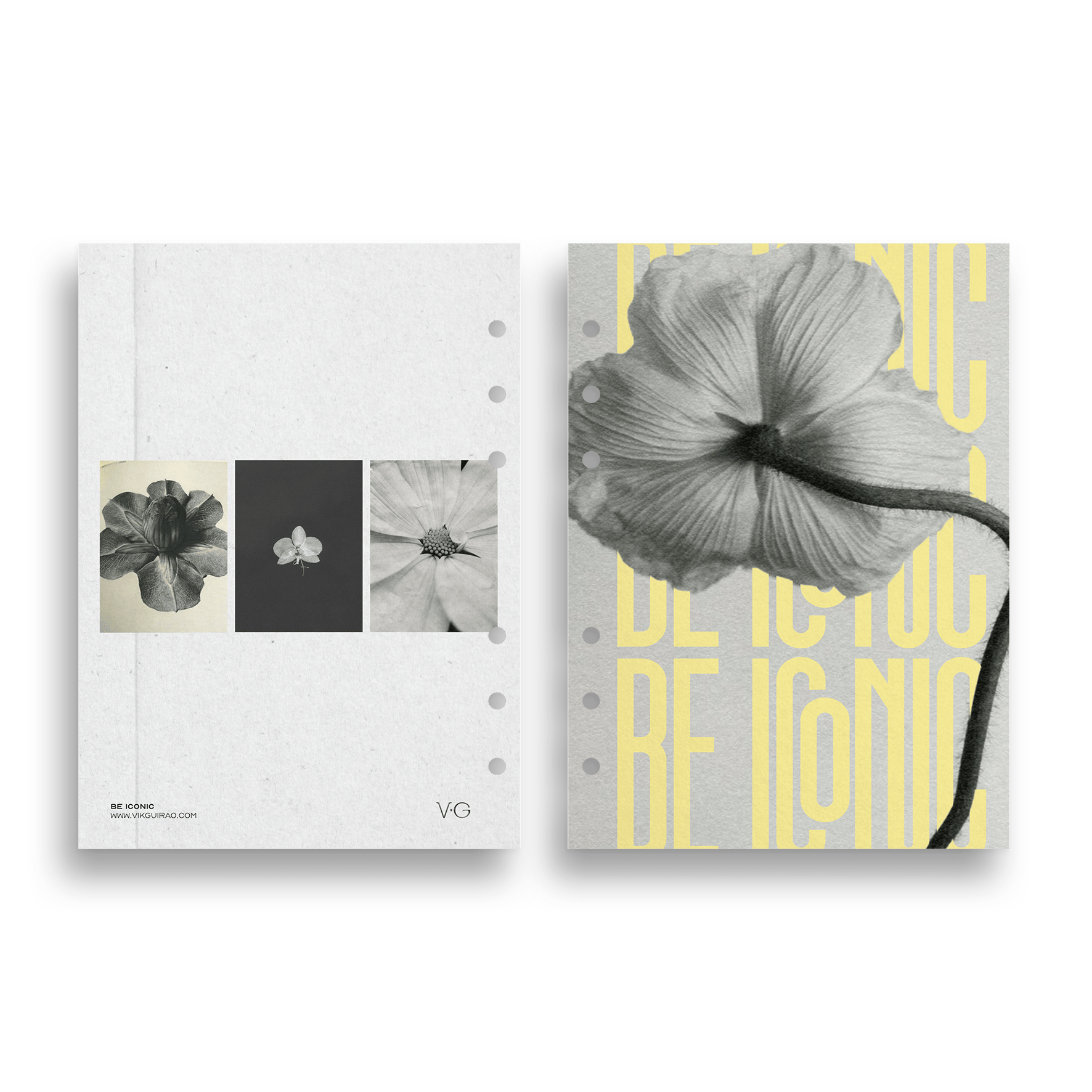 THE CREATOR · DASHBOARDS
