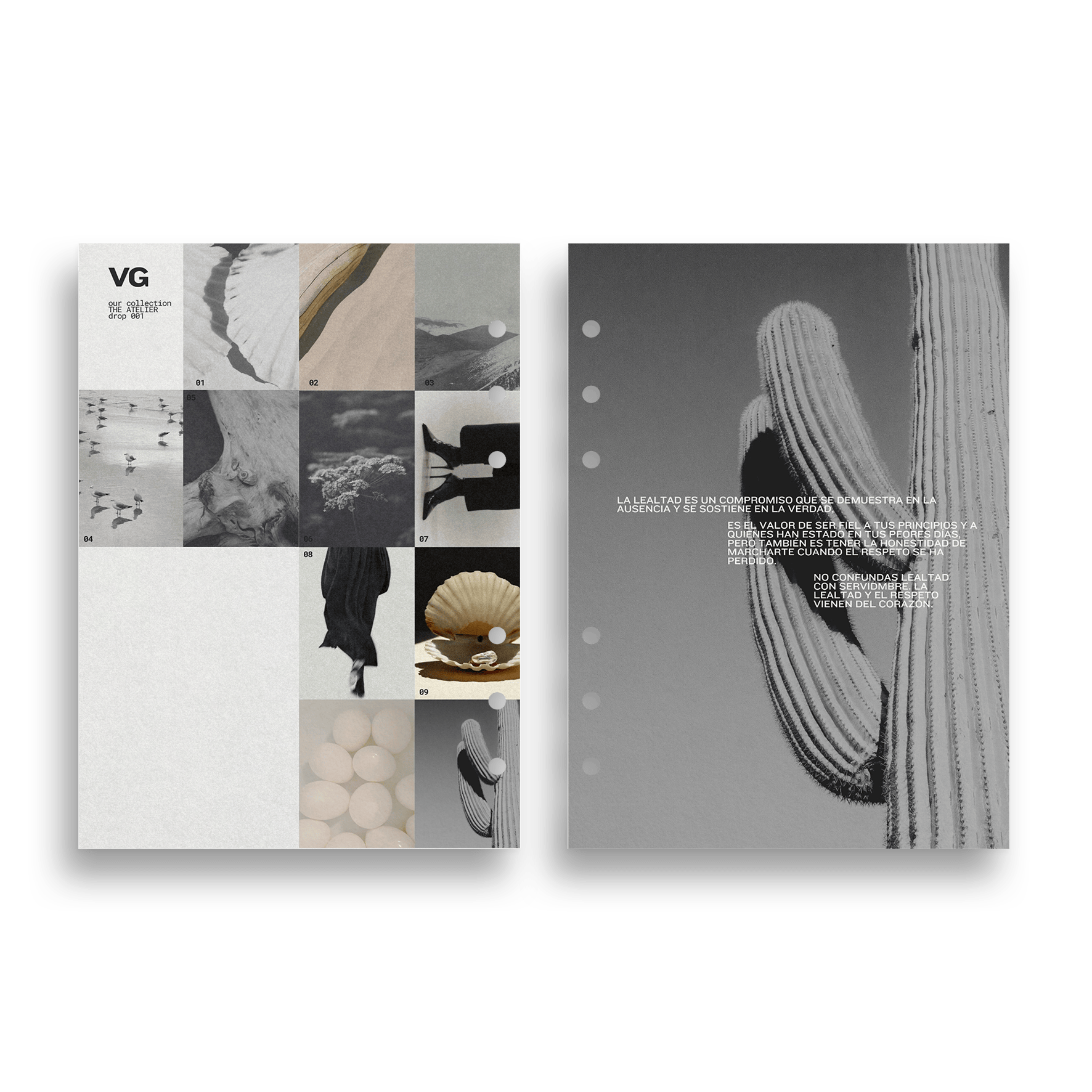 THE CREATOR · DASHBOARDS
