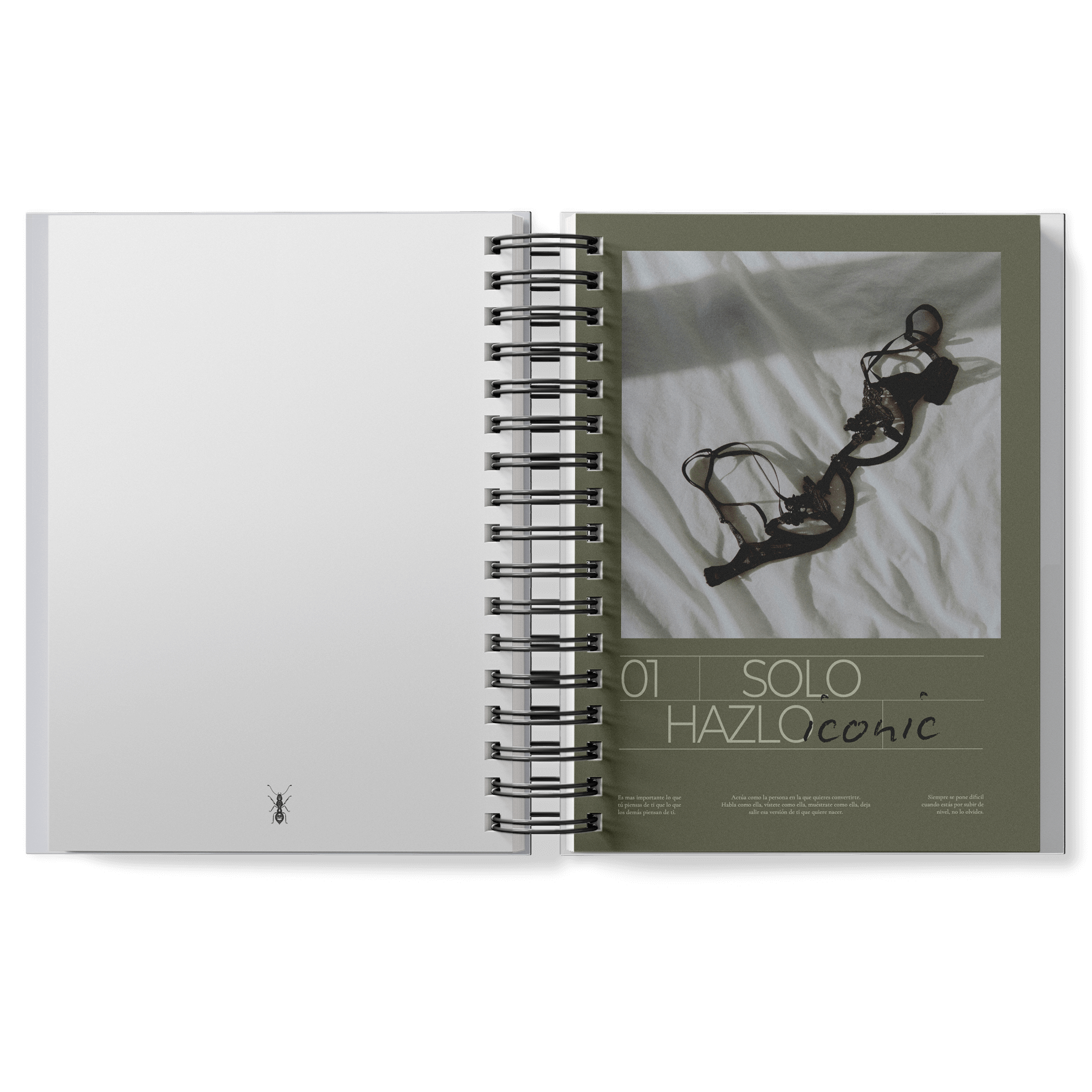 JOURNAL · AGENDA INFINITA
