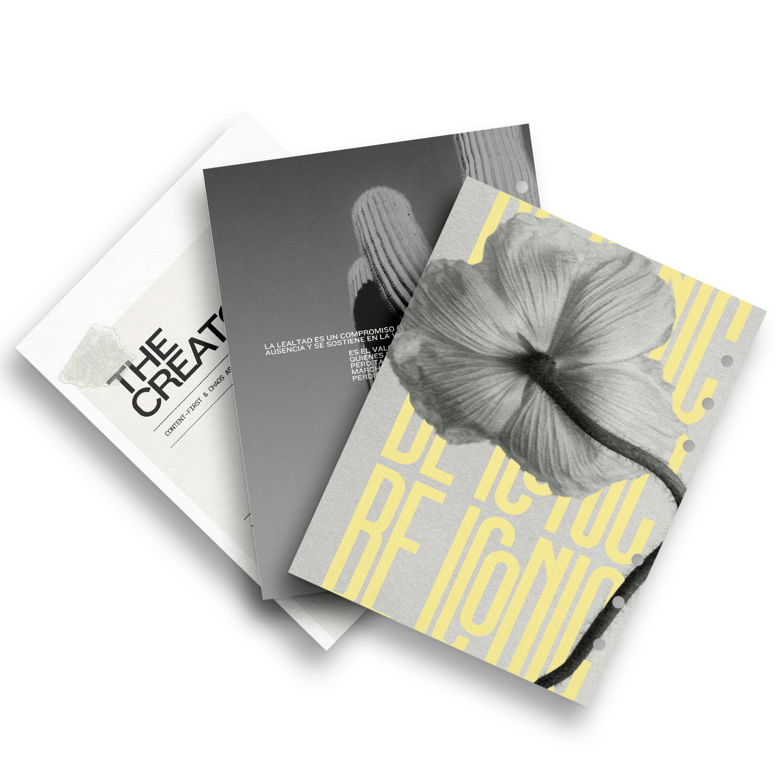 THE CREATOR · DASHBOARDS