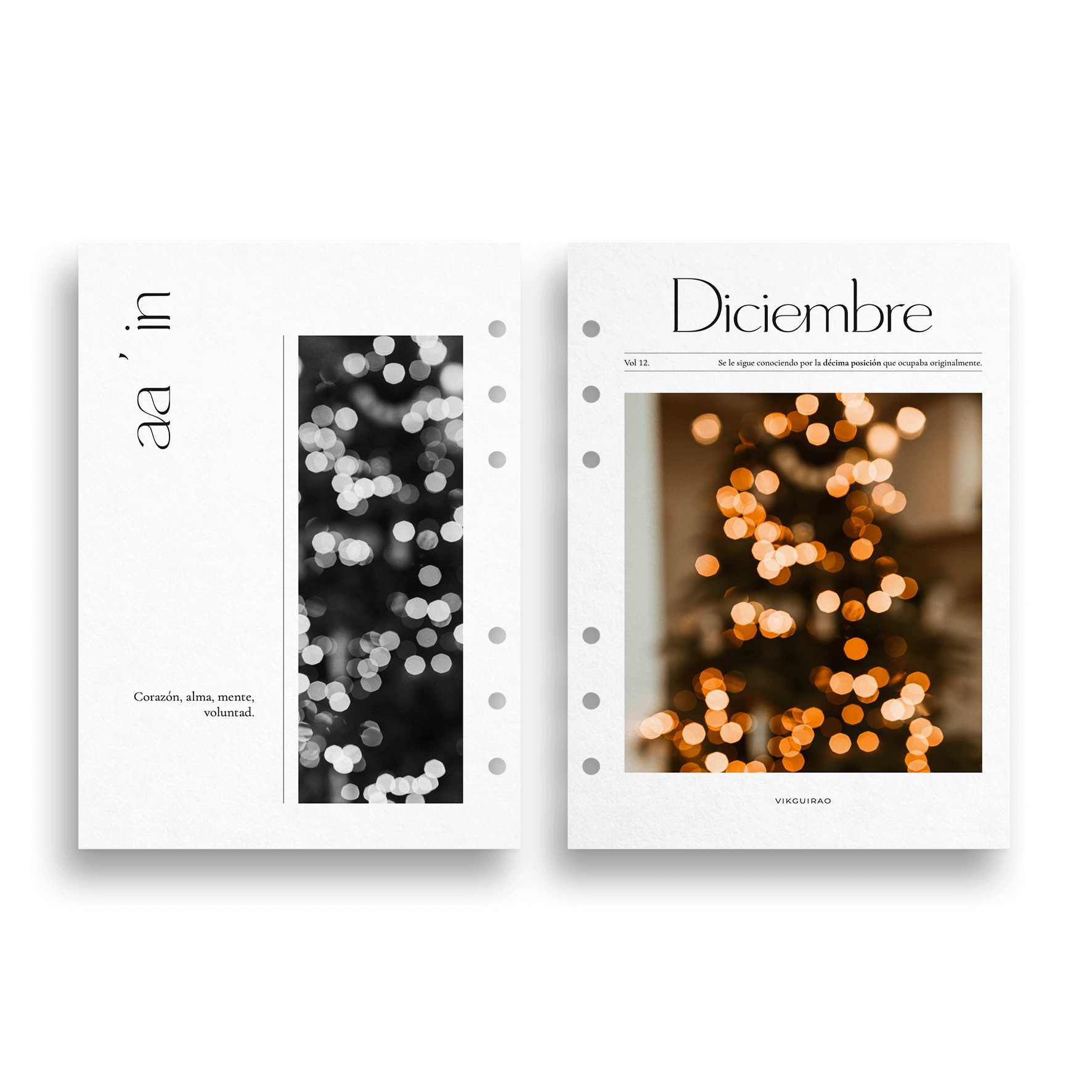 DASHBOARD PLANNER · MESES DEL AÑO