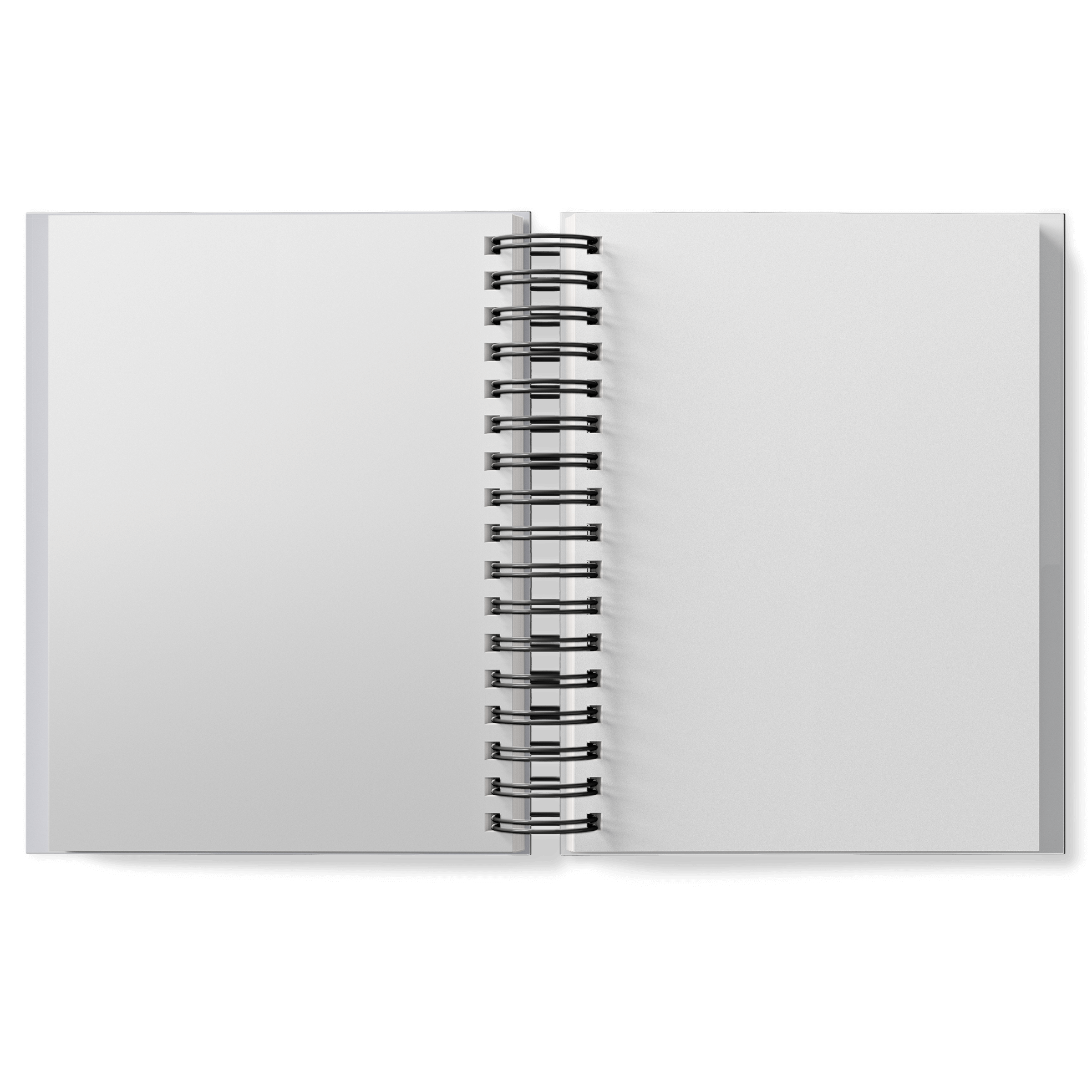 CUADERNO TRANSPARENTE · HOJAS EN BLANCO