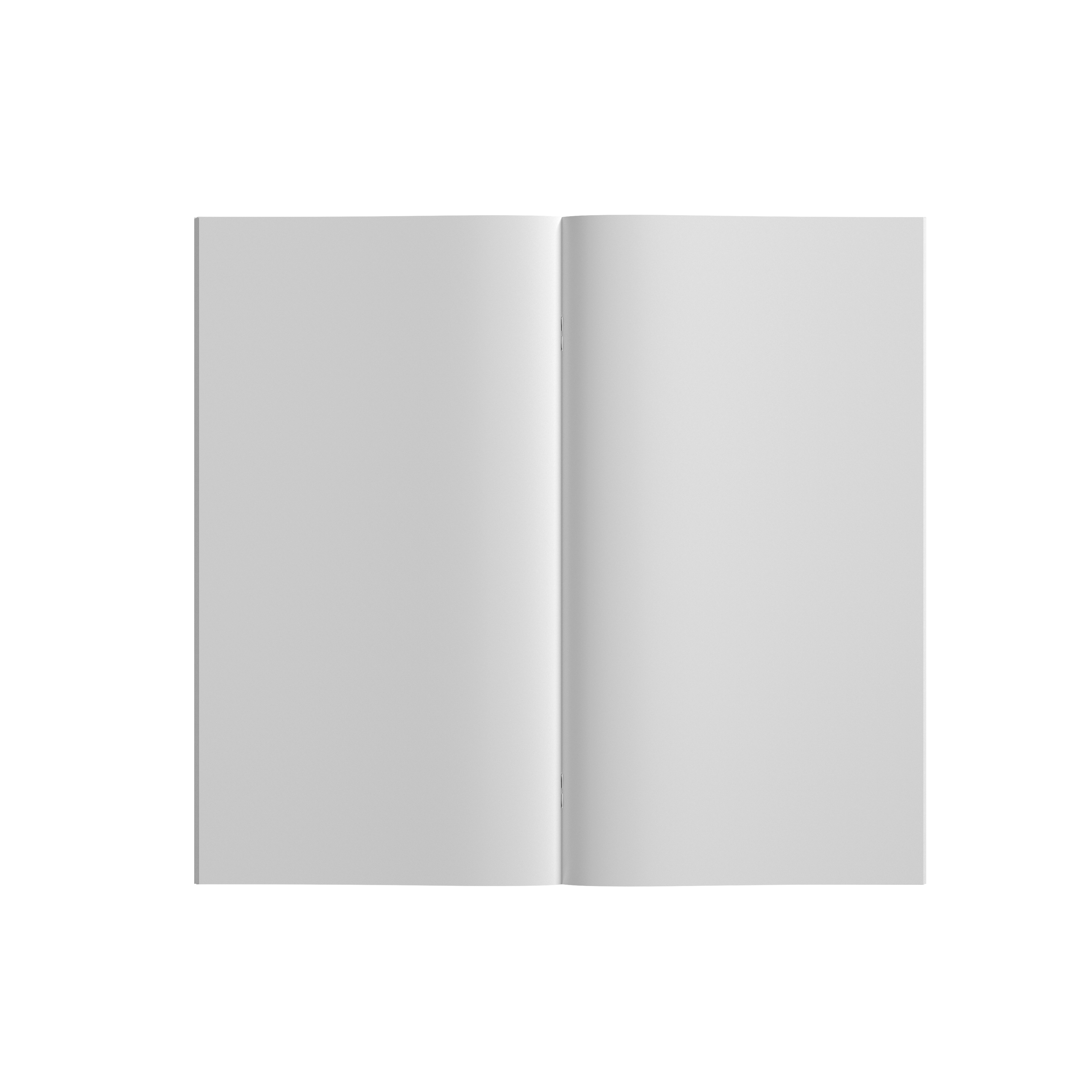 NOTAS EN BLANCO · POCKET