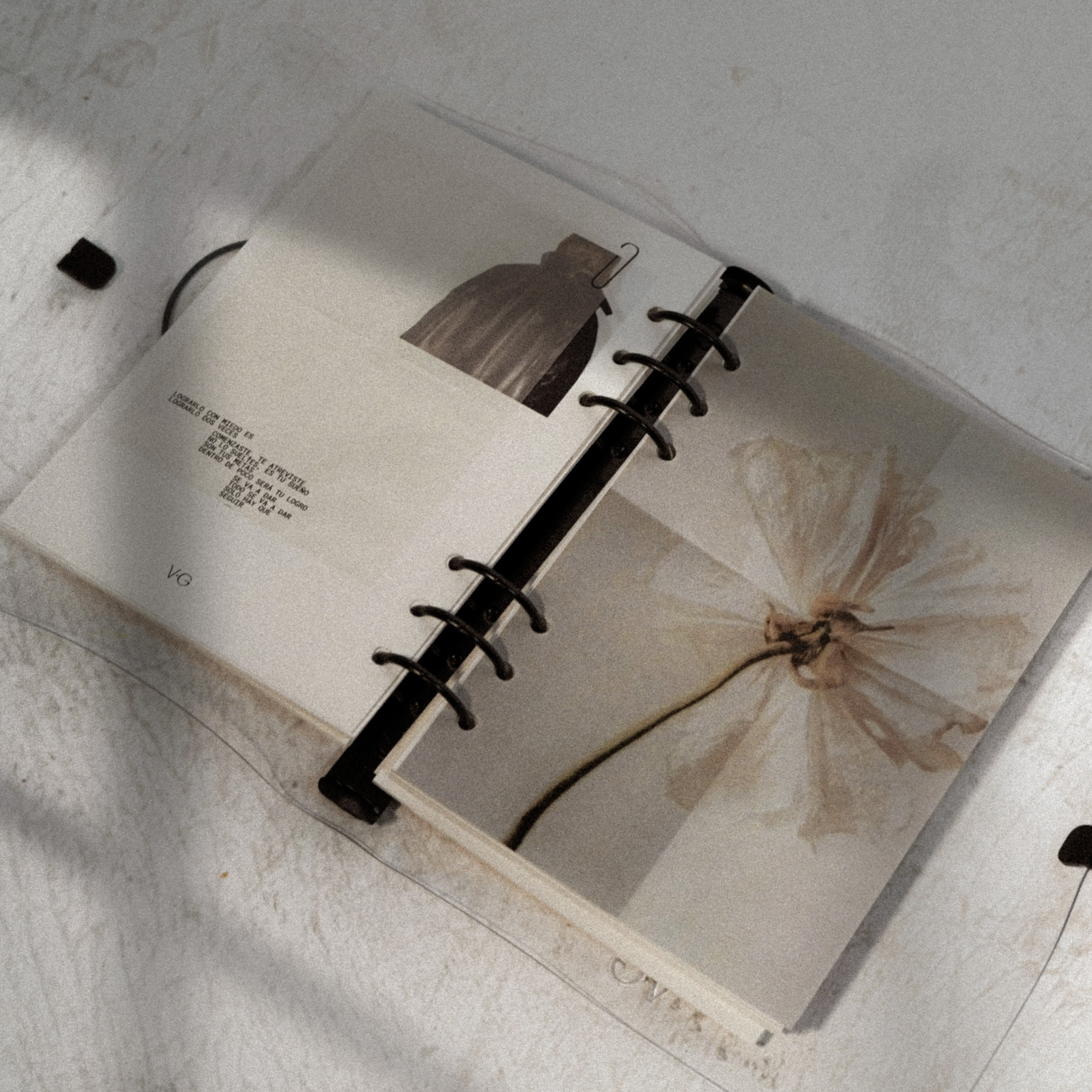 PLANNER TRANSPARENTE